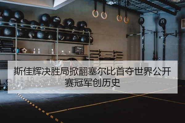 斯佳辉决胜局掀翻塞尔比首夺世界公开赛冠军创历史